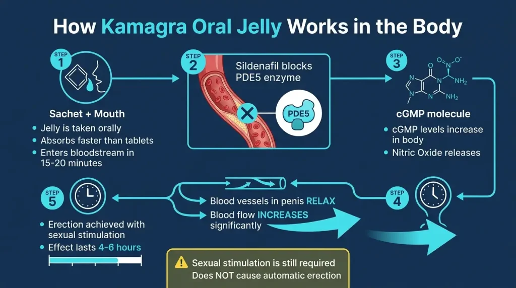 How Kamagra Oral Jelly Works in the Body